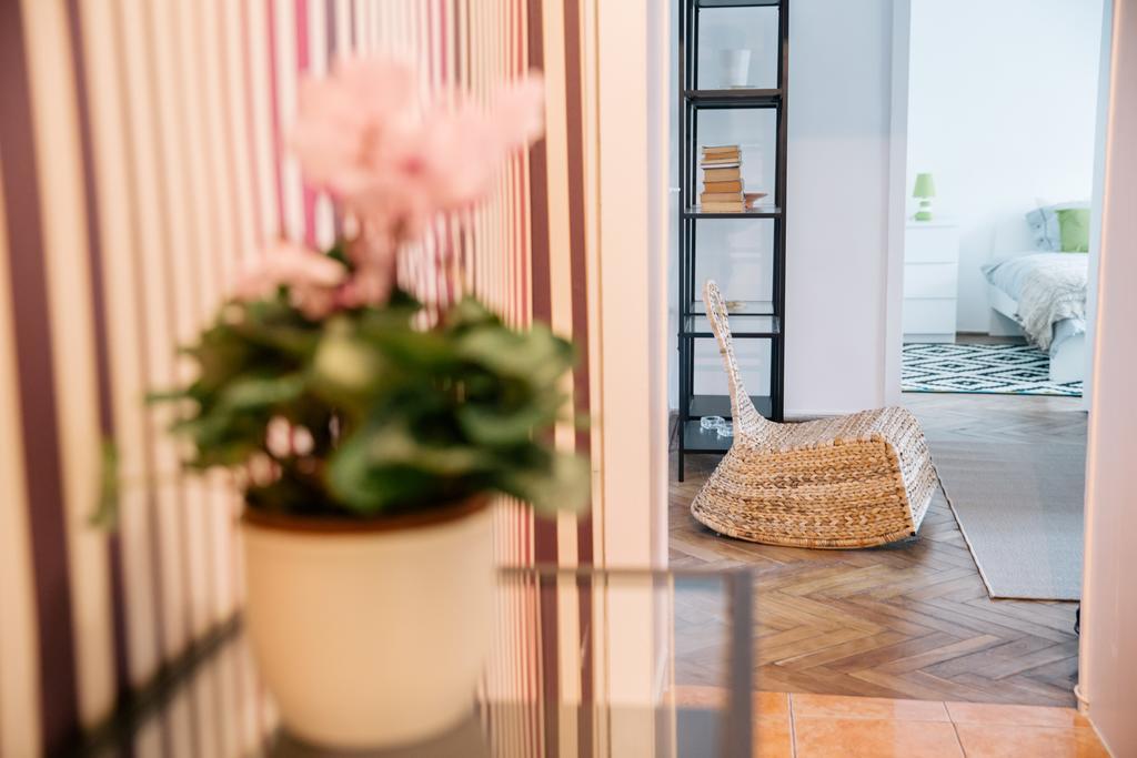 Neo Apartment Horea Cluj-Napoca Extérieur photo