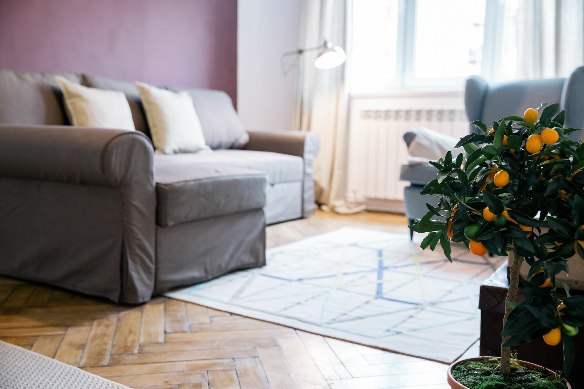 Neo Apartment Horea Cluj-Napoca Extérieur photo
